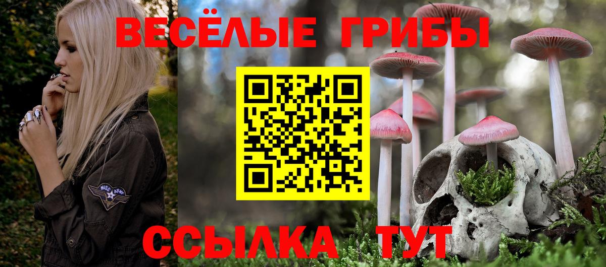 Галлюциногенные грибы GOLDEN TEACHER Рязань